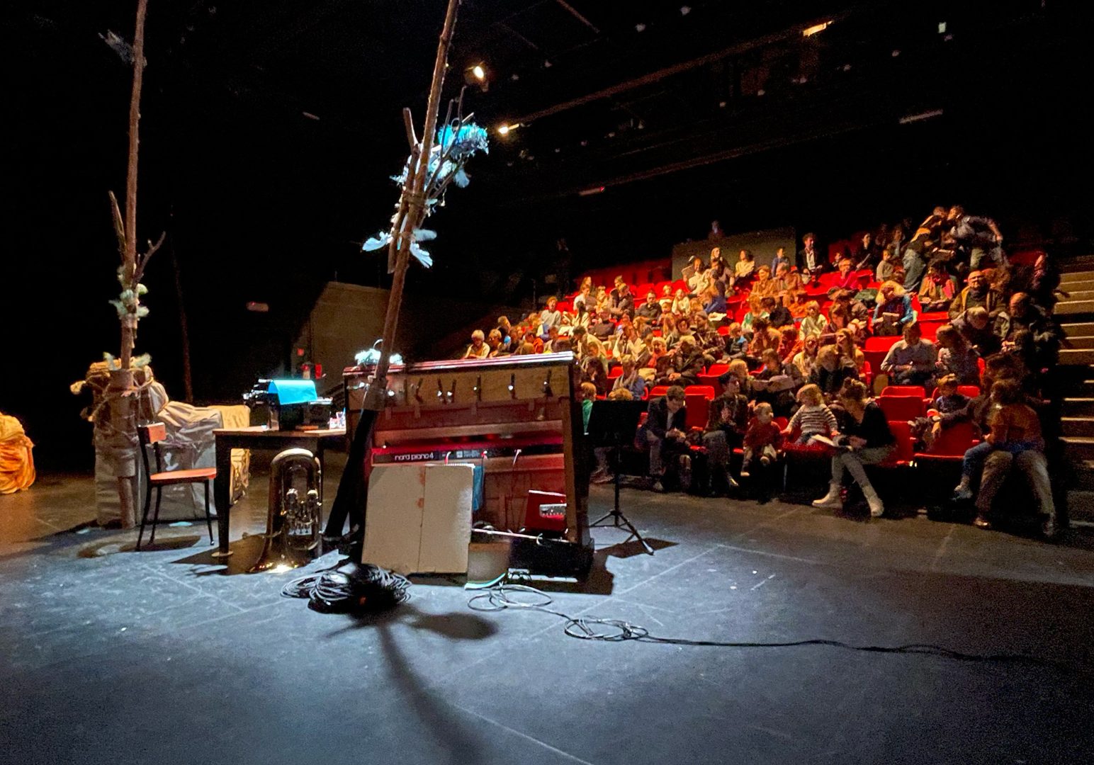 Broder speelt 'een blauwe vogel' in Arca Theater